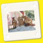 D14 Rishikesh2 (16).jpg